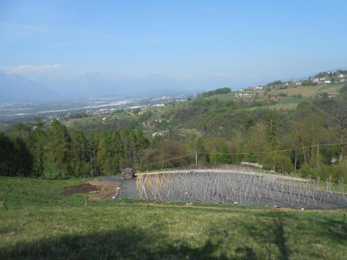 Agriturismo La Casa Nei Boschi Colderu Exterior foto