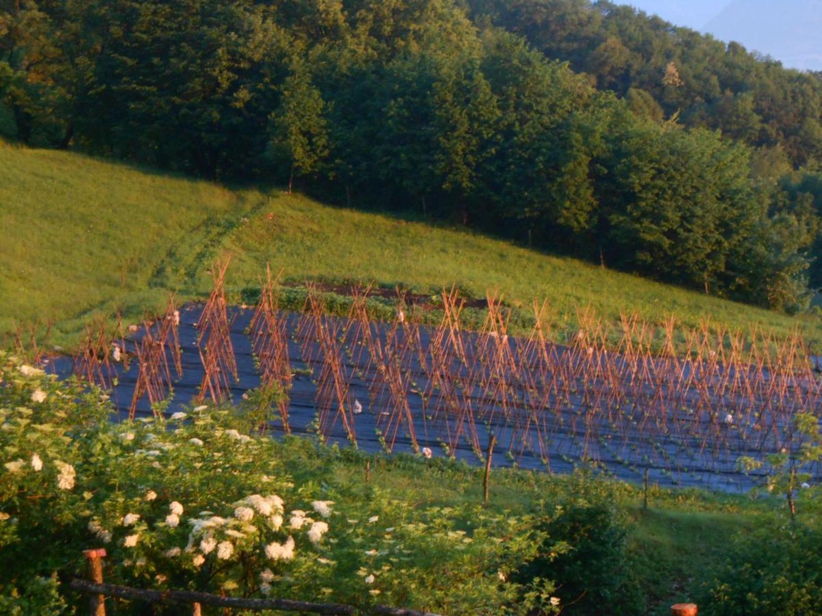 Agriturismo La Casa Nei Boschi Colderu Exterior foto